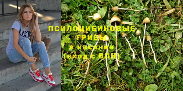 твердый Баксан