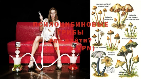 твердый Баксан